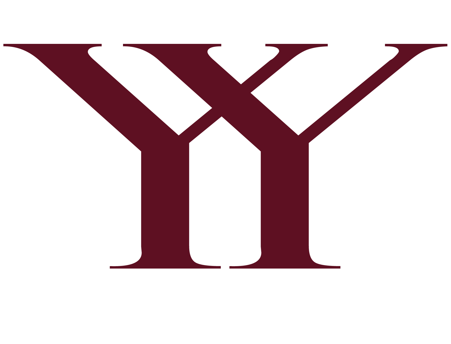Logo YNDYGO